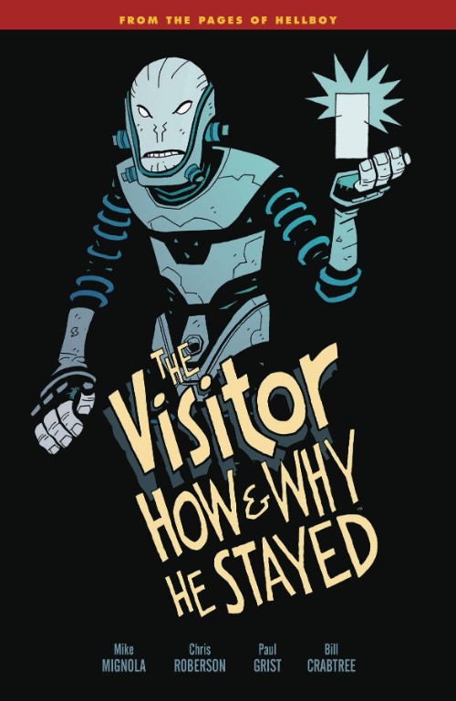VISITOR: HOW AND WHY HE STAYED