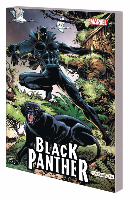 BLACK PANTHER: PANTHERS QUEST
